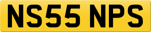 NS55NPS